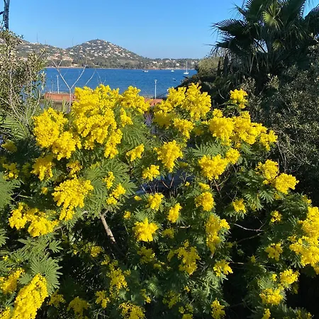 Climatise Vue A Proximite De La Διαμέρισμα