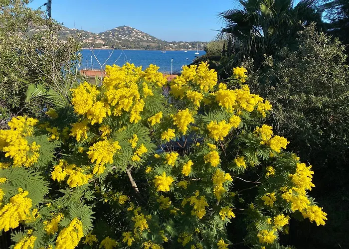 Climatisé Vue à Proximité De La Apartamento